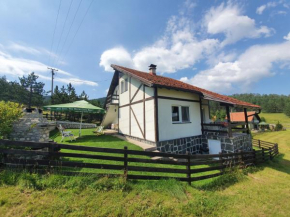 Vila Jela Tornik